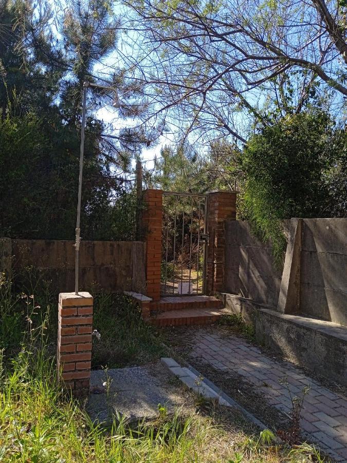 Ferienwohnung Accesso Diretto Sul Mare Maredilucecala Calambrone Exterior foto